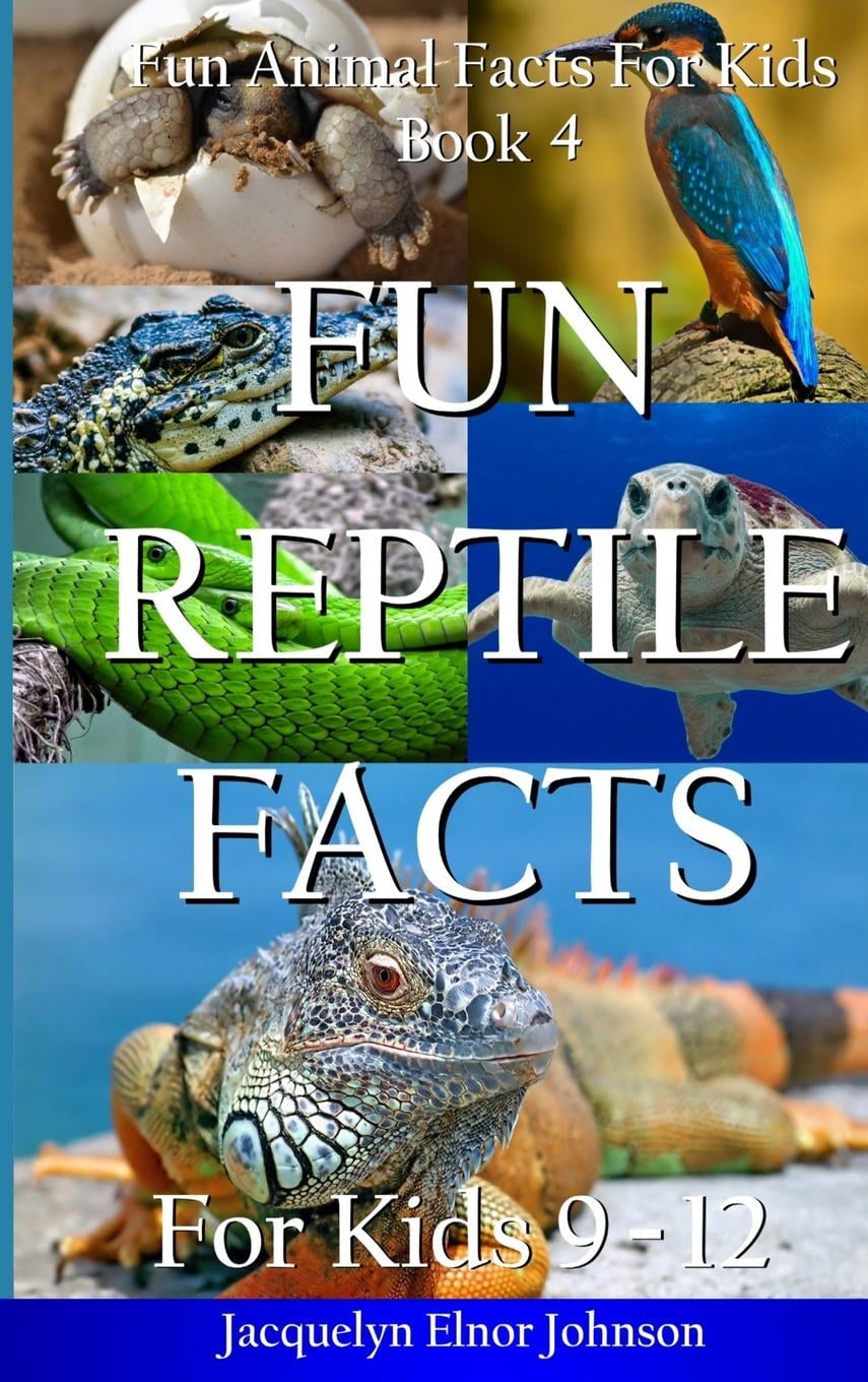 Fun Animal Facts for Kids: Fun Reptile Facts for Kids 9-12 (Hardcover)