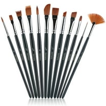 ORDDIART 12Pcs Watercolor Brushes Set Fine Paint Brush for Canvas
