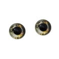 thumbnail image 5 of Koi Fish Glass Eyes, 5 of 10