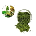 thumbnail image 5 of Kokiya Multipurpose Artificial Grass Debris DIY Kit Collectibles Gifts Decorative 185ml Green, 5 of 9