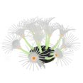 thumbnail image 1 of Lifelike Silicone Aquarium Simulation Coral, Beautiful FishDecoration for Freshwater with Stable Base, 1 of 8