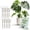 Moonstone, variant on Twigs Ga Stackable Plant Support Monstera Green 5 Pack 17"