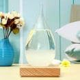 thumbnail image 2 of POINTERTECK Storm Glass Weather Stations Water Drop Weather Predictor Creative Forecast Nordic Style Decorative Weather Glass, 2 of 5