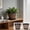 2Pcs Plastic Plant Pot Under $5 a1, variant on Tusihei Plastic Plant Pot, Imitation Wine Barrel Design Flower Pot with Drainage Holes & Saucer, Retro Decoration Flower Pot for Outdoor Indoor Garden Balcony Plants