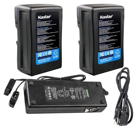Kastar 2-Pack Battery and Dual D-Tap Charger Compatible with Sony BP-L40 BP-L40A BP-L60 BP-L60A BP-L60S BP-L80 BP-L80S BP-L90 BP-L90A BP-M100 BP-M50 Battery BC-M50 BC-M150 AC-DN10 Charger