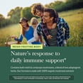 thumbnail image 5 of Gaia Herbs Reishi & Cordyceps - Immune Support with Mushrooms Traditionally Used to Help Maintain Lung & Respiratory Health* - with Reishi & Cordyceps - 40 Vegan Capsules (40 Servings), 5 of 9