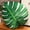 Monstera Leaf, variant on Leaf Shaped 3D Throw Pillows Soft Plush Maple Leaves Pillow Decorative Pillow for Plant Lovers Aesthetic Cute Pillow for Bed Sofa Car Floor Couch Living Room Bedroom Decor (Hawthorn Leaf)