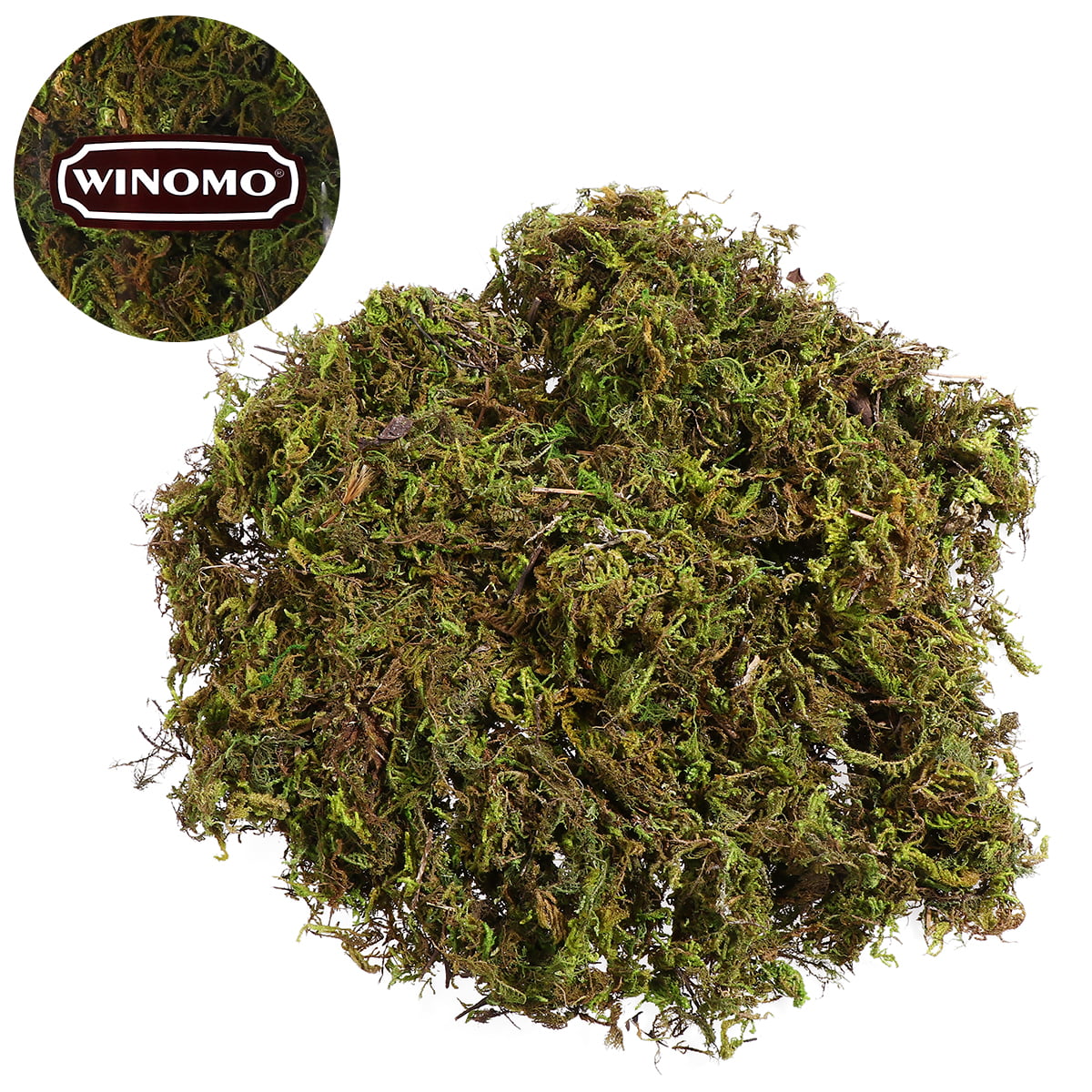 safety excitation Cafe 1 Bag Natural Moss Lichen Green Plants for Home Garden Patio Decoration  (About 60g) - Walmart.com