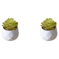 thumbnail image 3 of Injueey Bonsái de simulación suculenta artificial, arreglo de flores falsas, paisaje, sala de estar, suministros para el jardín y el hogar tipo 2 2Conjunto, 3 of 6