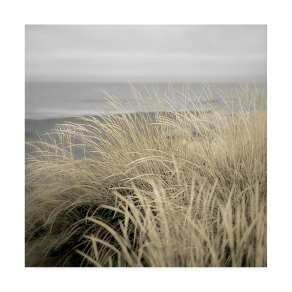 Trademark Fine Art 'Tuscan Dunes #2A' Canvas Art by Alan Blaustei