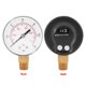 thumbnail image 4 of Medidor de presión baja Ecomeon para combustible aire aceite o agua 0-15psi 0-1bar BSPT montaje inferior, 4 of 4
