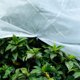thumbnail image 5 of Cobertores para árboles y arbustos, mantas anticongelantes, protección contra heladas para plantas, 5 of 5