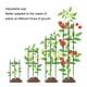 thumbnail image 3 of Jaula De Tomate De Servicio Pesado, Jaulas De Soporte De Apuestas De Plantas Enrejado Con Clips De Ajuste Para Jardín Interior Y Exterior, Ideal Para Tomates, Frijoles Y Rosas, 3 of 7