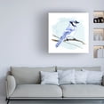 thumbnail image 3 of Jacob Green 'Coastal Blue Jay I' Canvas Art, 3 of 3