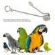 thumbnail image 3 of Anillo Loros Pájaro Hebilla De Pierna Anillo De Apertura De Acero Inoxidable Tobillera Para Actividades Al Aire Libre Anillo Grande, 3 of 7