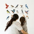 thumbnail image 4 of 1Set Little Birds Wall Stickers Cute Bird Wall Decals Nursery Wall Art Stickers Birds of Prey Wall Decor DIY Vinyl Art for Bedroom Classroom Kid's Room Playroom Decoration, 4 of 7