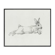 Stupell Industries Jumping Rabbit Sketch Animals & Insects Drawing Black Framed Art Print Wall Art, 20 x 16