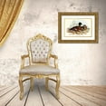 thumbnail image 3 of Gould, John 18x13 Gold Ornate Wood Framed with Double Matting Museum Art Print Titled - Chesnut-breasted Duck-Anas punctata, 3 of 4