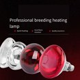 thumbnail image 2 of Glass Energy-saving Farming Heating Lamp For Pigs Thickened And Durable Insulated Light Bulb Pitted surface, 2 of 6