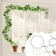 thumbnail image 1 of Kit de soporte para plantas de servicio pesado | Enrejado de plantas trepadoras de bricolaje con 18 anillos hexagonales y 6 ganchos | Rejilla de hierro resistente a la intemperie para la decoración, 1 of 6