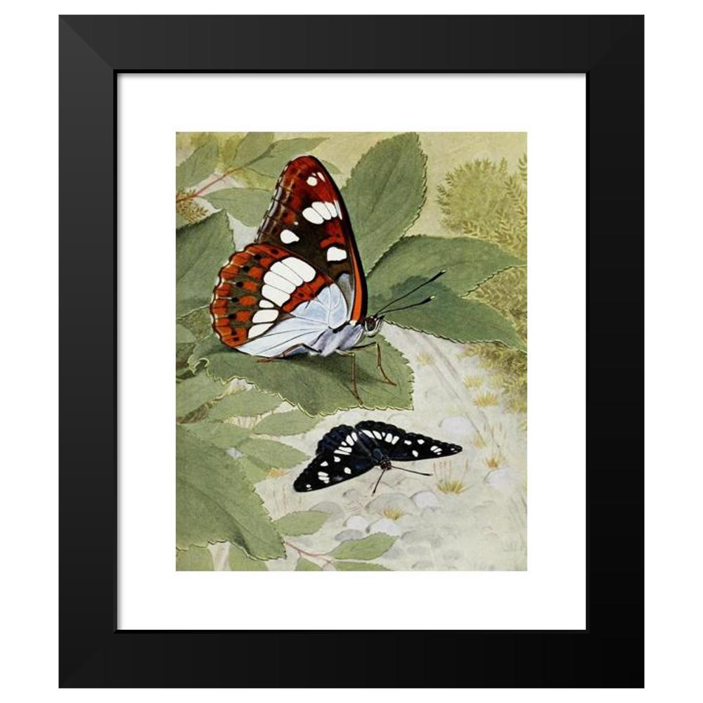 Paul-Andre Robert 15x18 Black Modern Framed Museum Art Print Titled - Le Sylvain Azure (1934)