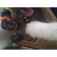 thumbnail image 2 of Wool Shop 24 Inch Lambswool Duster with Wood Handle – Natural Wool Cleaning Tool - MADE IN USA, 2 of 4