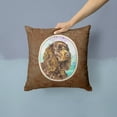 thumbnail image 2 of Carolines Treasures 7008PW1414 American Water Spaniel Fabric Decorative Pillow  14Hx14W multicolor, 2 of 4