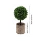 thumbnail image 3 of Plantas artificiales de simulación para el hogar, oficina, vestíbulo de hotel, decoración de plantas verdes, decoración del hogar, plantas artificiales, plantas verdes artificiales, hogar,, 3 of 8