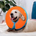 thumbnail image 1 of GFDYREE Dog Cone for After Surgery, Pet Inflatable Collar Comfy Soft Dog Cone, Adjustable Protective Recovery Dog Donut Collar for Large Dogs to Stop Licking and Prevent from Biting & Scratc, 1 of 7
