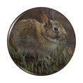 thumbnail image 1 of Backyard Bunny Rabbit Hare Pinback Button Pin, 1 of 5