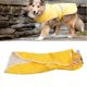 thumbnail image 2 of Regenjacke für Haustiereverstellbarer Hunderegenmantel im Poncho-Stilwinddicht für den Auenbereich Amonsee No, 2 of 5