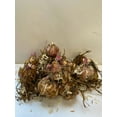 thumbnail image 4 of 3 Stargazer Lily Bulbs for Planting, Lilium Flower Bulbs Ready to Plant, 4 of 6
