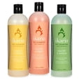thumbnail image 6 of Moroccan Argan Oil Dog Cat Puppy Kitten Natural Botanical Shampoo Concentrates (Set of all Three One gallon Jugs), 6 of 10