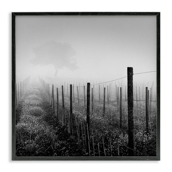 Stupell Industries Vineyard at Dawn Landscape & Nature Photography Black Framed Art Print Wall Art, 12 x 12