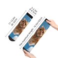 thumbnail image 2 of Salouo Playful Cat Fisheye View Pattern Unisex Middle Tube Socks,Middle-Finger Knee High Socks Over The Calf Tube Stocking Crew Stockings for Women and Men Tube Socks, 2 of 8