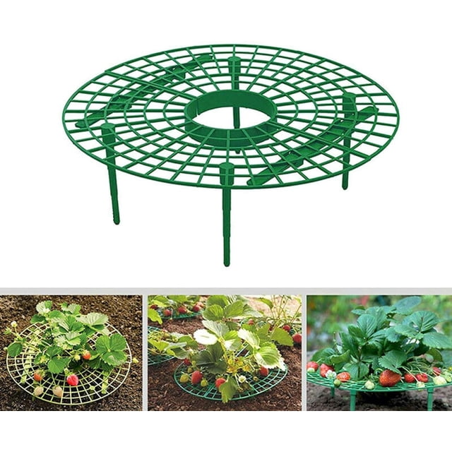 Paquete de 10 soportes para plantas de fresas, soportes para cultivo de fresas, soporte ajustable para plantas, soporte para cultivo de fresas para plantar fresas y mantener la fruta elevada para evi