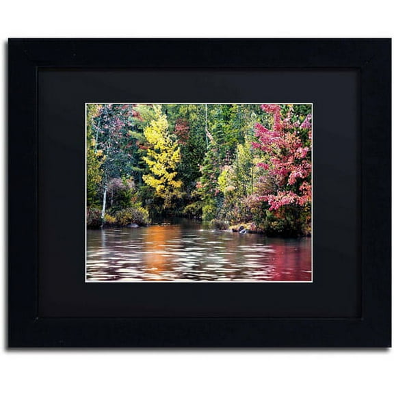 Trademark Fine Art "Adirondacks" Canvas Art by David Ayash, Black Matte, Black Frame