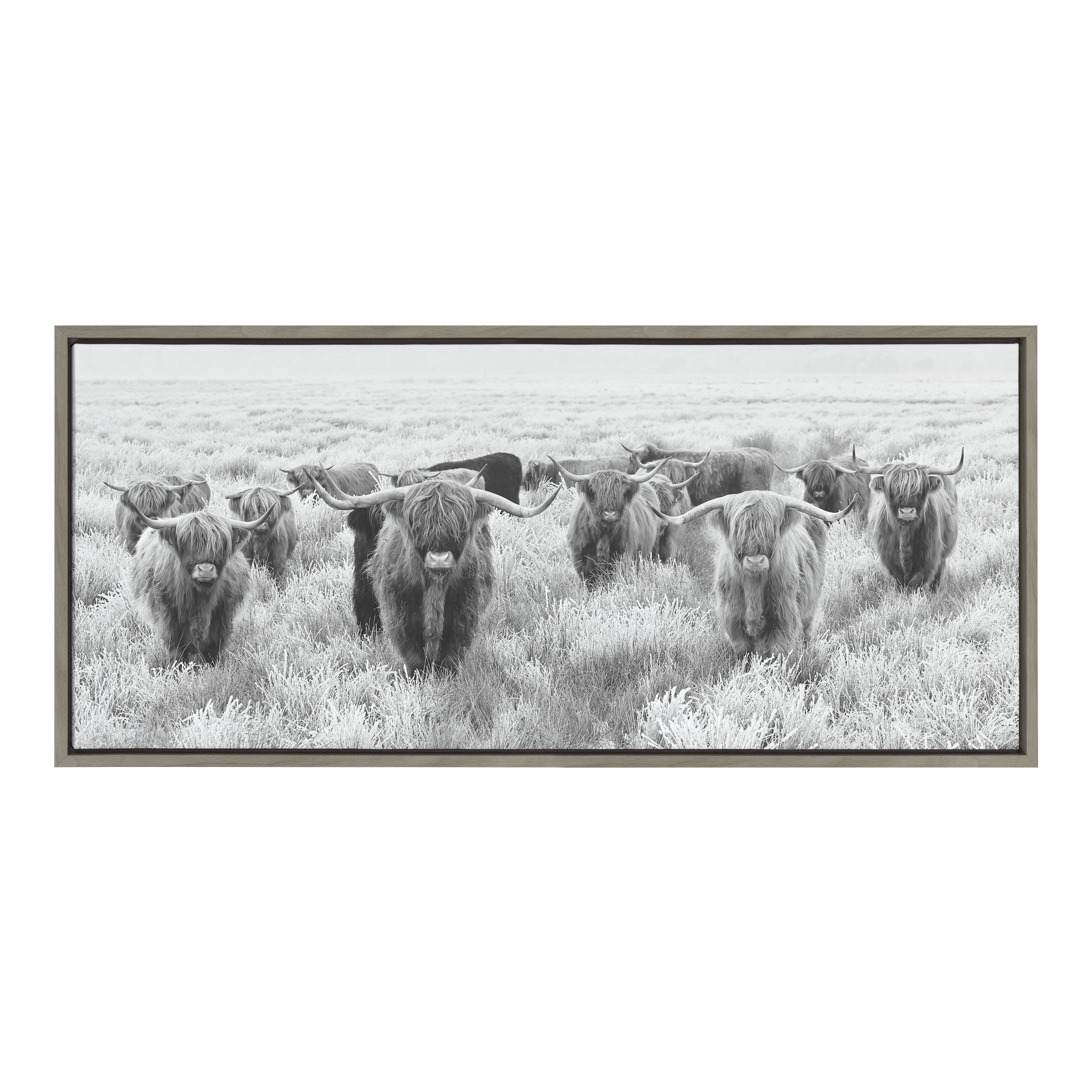 PixonSign Highland Cow Canvas Print Framed Wall Art, 16x24 Inches