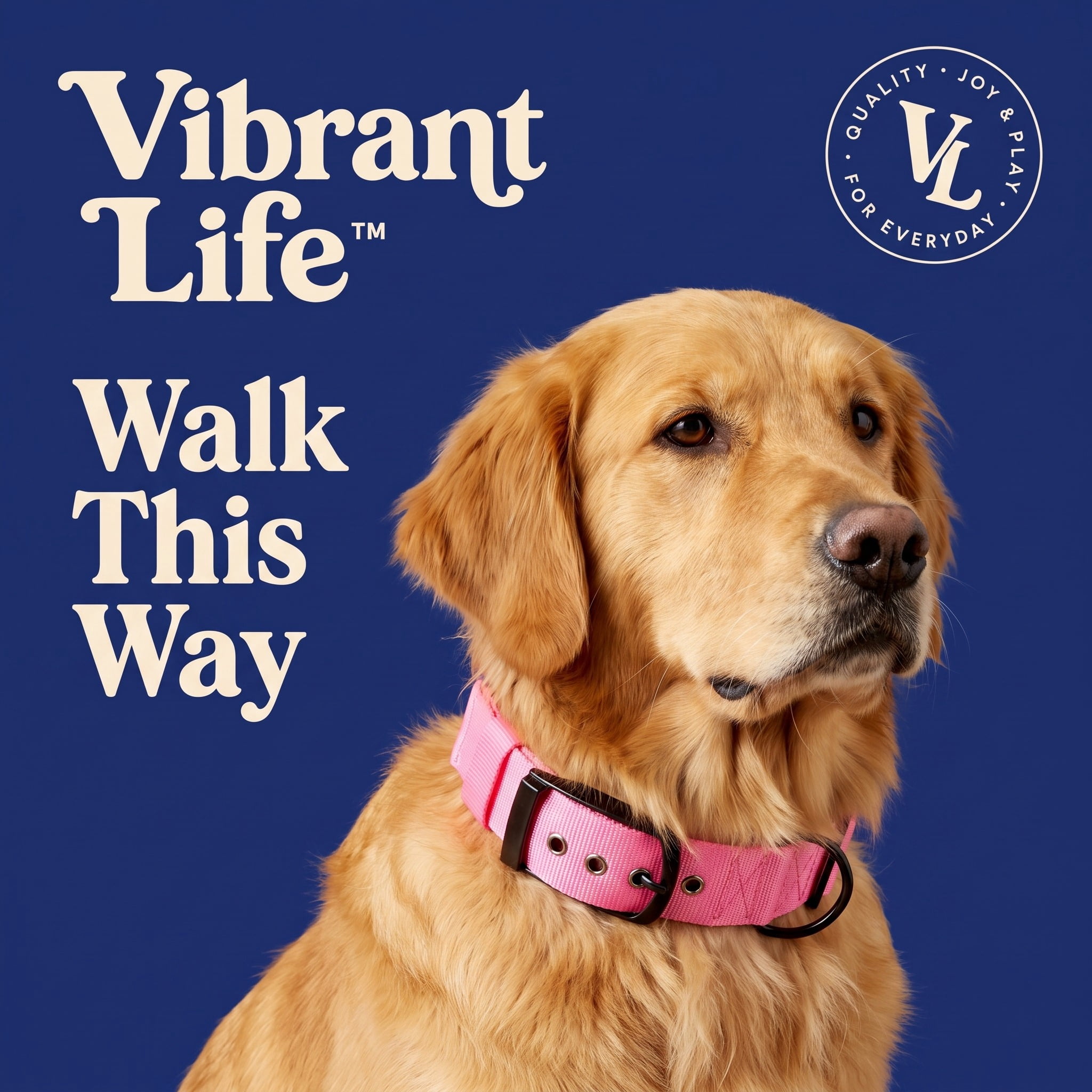 Vibrant Life Diagonal Stripe Extra Wide Adjustable Reflective Collar for Dogs, Pink & Gray, Large