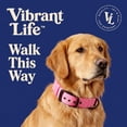 thumbnail image 2 of Vibrant Life Diagonal Stripe Extra Wide Adjustable Reflective Collar for Dogs, Pink & Gray, Large, 2 of 8