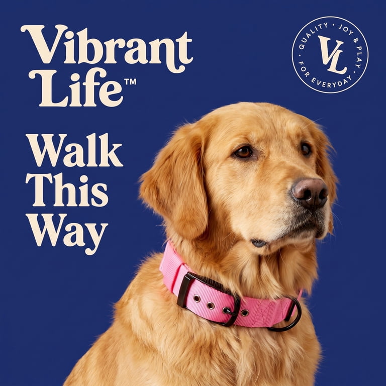 Vibrant Life Diagonal Stripe Reflective Collar, Large, Pink photo 2
