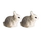 thumbnail image 2 of Juguete de acción modelo animal Conejo gris Sunnimix Figuras de acción, 2 of 8