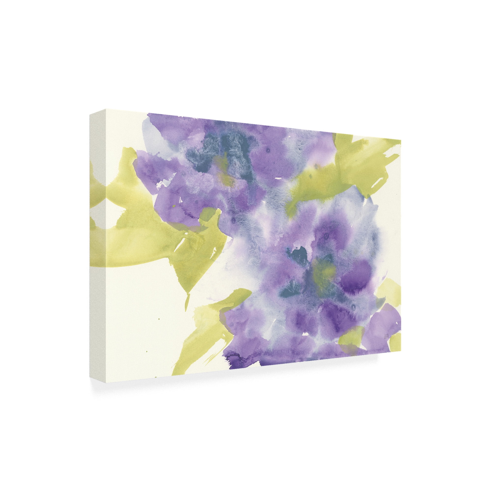 Trademark Fine Art 'Violet and Gray II' Canvas Art by Chris Paschke