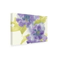 thumbnail image 2 of Trademark Fine Art 'Violet and Gray II' Canvas Art by Chris Paschke, 2 of 3