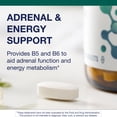 thumbnail image 3 of Metagenics E-400 Selenium - Antioxidant & VIT E Support* - Non-GMO, Gluten-Free, Vegetarian - Contains 50 mcg Selenium, 268 mg Vitamin E & 97 mg Calcium - 60 Tablets, 3 of 7