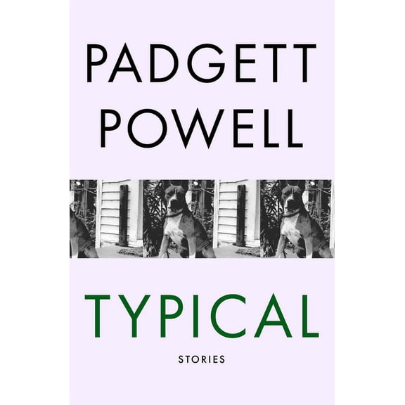Typical: Stories, (Paperback)