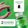 thumbnail image 3 of 2 PackVitamatic Irish Sea Moss Gummies with Bladderwrack & Burdock Root – Botanical Extract Supplement – Vegan, Non-GMO – 60 Count, 3 of 11