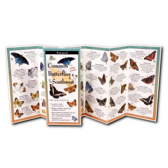 FoldingGuides: Common Butterflies of the Southwest (Other)