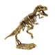 thumbnail image 1 of Juguete de dinosaurio BuyWeekMX modelo de huesos de esqueleto de dinosaurio infantil, 1 of 9