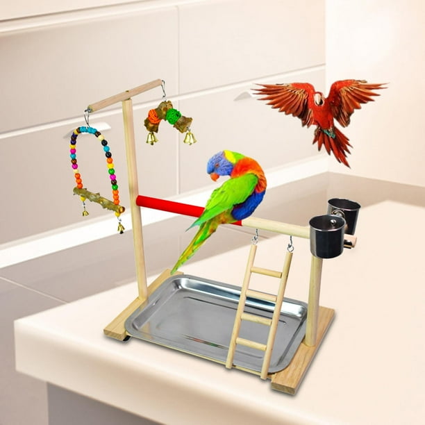 Macaw perch stand discount